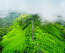 Coorg