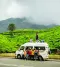 Munnar Trip