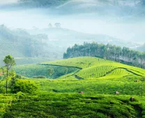 Munnar