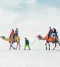 Rann of Kutch Trip