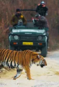 Jim Corbett Safari with Nainital Tour