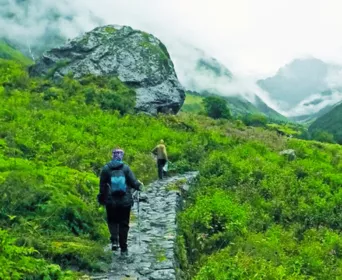 valley of flowers tour