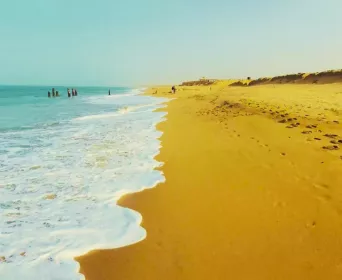 gujarat beaches tour