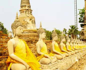 buddhist pilgrimage tour