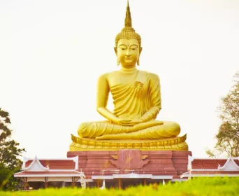 footsteps of buddha tour