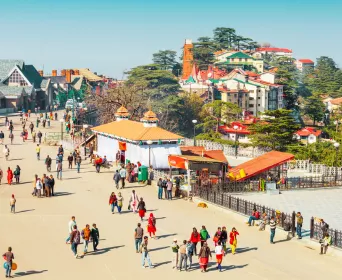 shimla tour