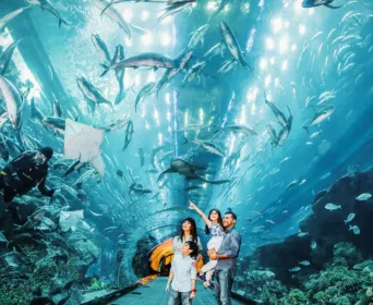 dubai adventure tour