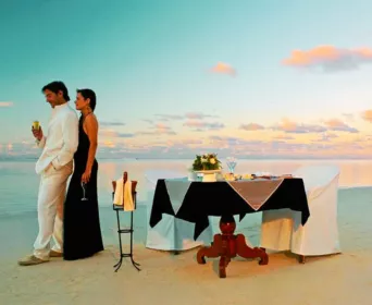 goa honeymoon tour