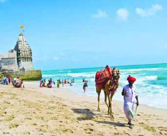 dwarka somnath gir diu tour
