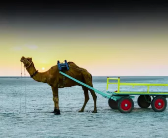 gujarat desert beach tour