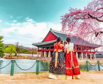 japan china korea tour