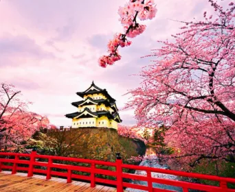 japan tour