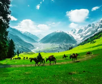 charismatic kashmir tour
