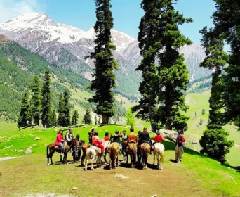 kashmir paradise tour