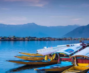 special kashmir tour