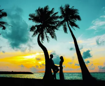 kerala honeymoon tour