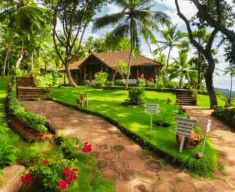 kerala spa ayurveda tour