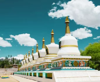 incredible ladakh tour