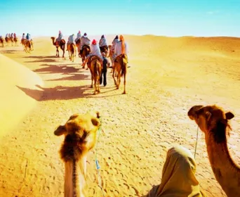 rajasthan group tour