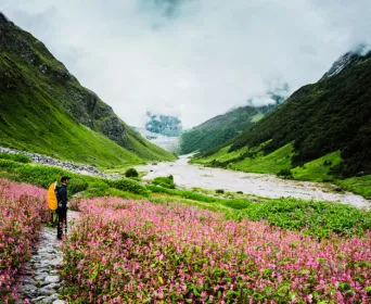 valley of flowers trek