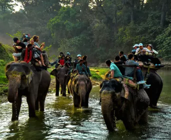 india nepal wildlife tour