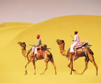 rajasthan safari tour