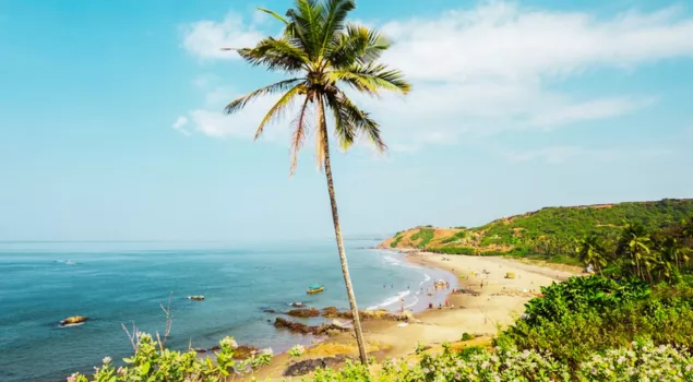 baga beach