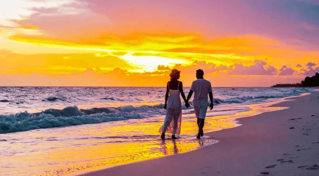 goa honeymoon tour