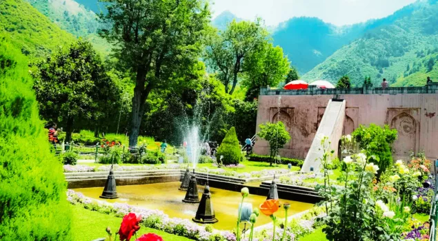 chashme shahi