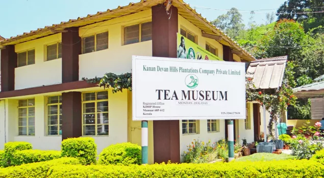 tea museum munnar