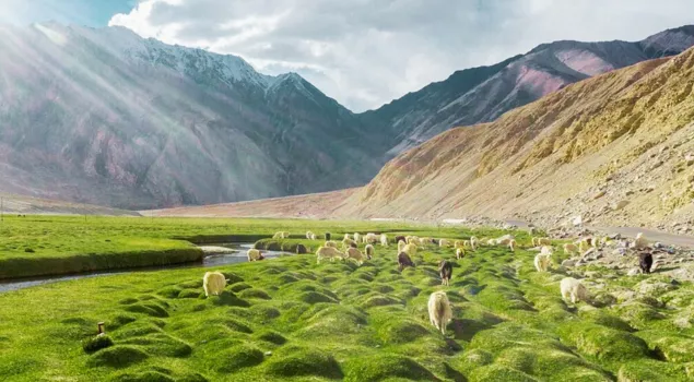 nubra valley