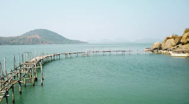 chilika lake