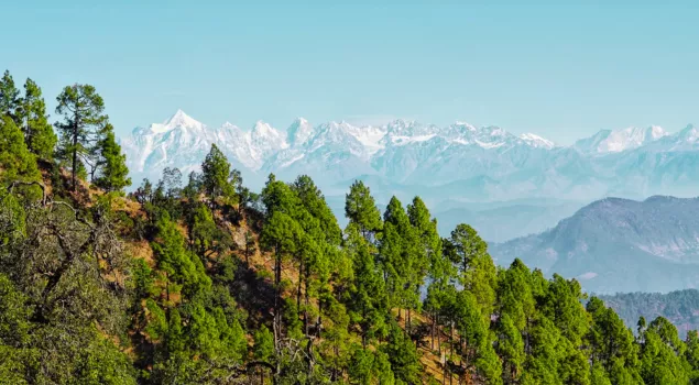 binsar wildlife sanctuary