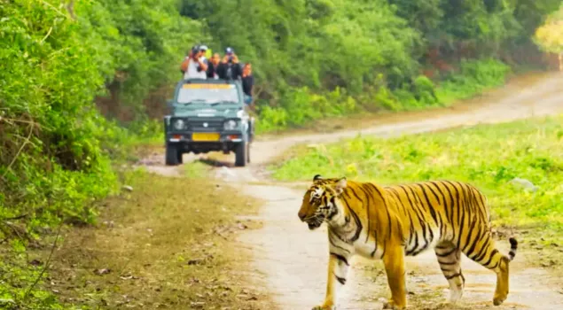 jim corbett