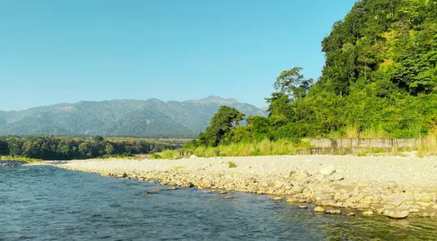 kosi river jim corbett