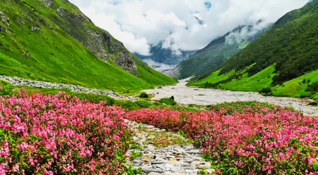 valley of flowers